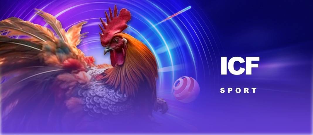 Jun88 - Đá Gà 4K: Trải Nghiệm Cho Người Đam Mê Kê Thủ Các trường đá gà nổi tiếng hàng đầu tại Đá gà 4K